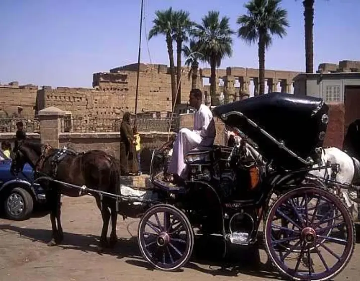 Aswan City Tour by Horse Carriage – Explore Aswan’s Charm